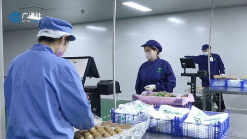 江苏直通车 探访南京丰浩华食品供应链管理有限公司的创新之路